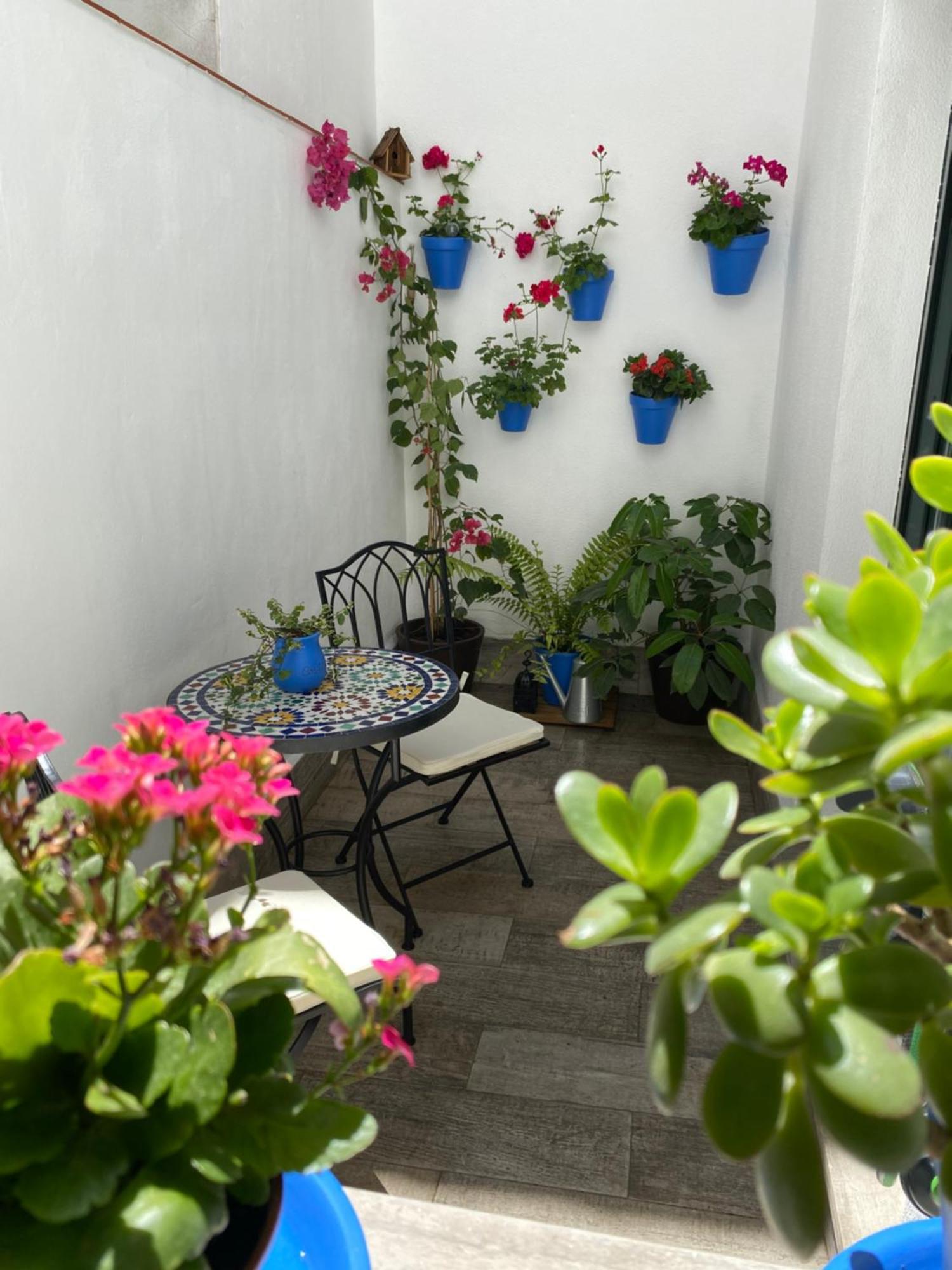 La Almunia De Cordoba, Centro Historico *