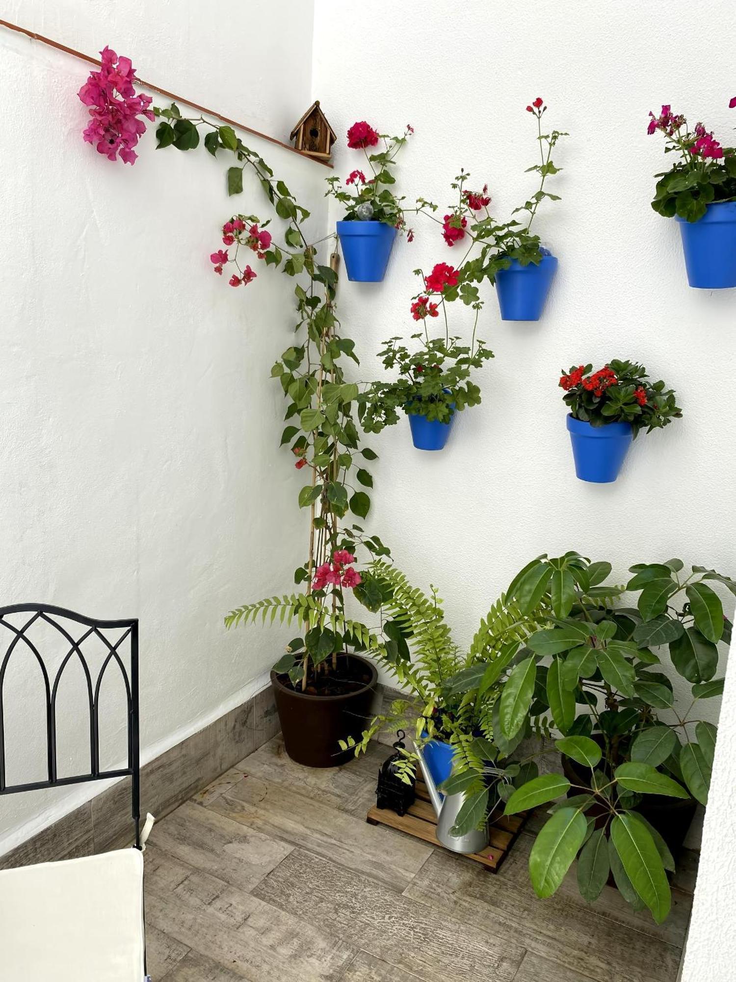 La Almunia De Cordoba, Centro Historico Apartment Cordoba